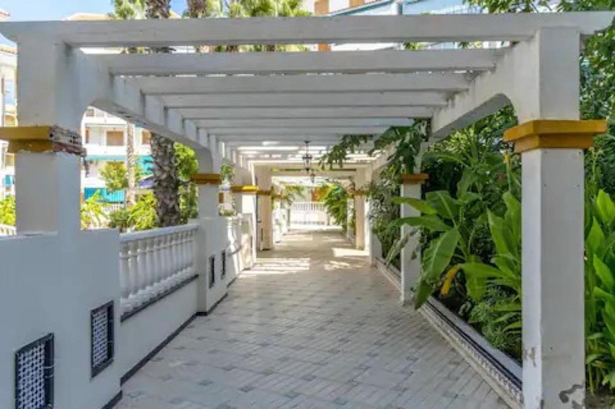 Pmt17 - Penthouse Apartment With Pool And Close To Beach Ла-Мата Екстер'єр фото
